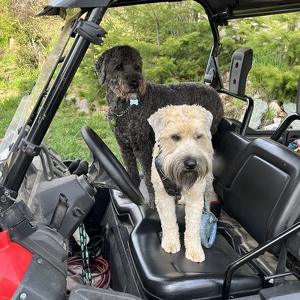 Fundraising Page: Lyle Bauer